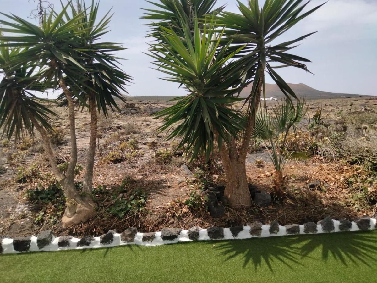 Lanzarote Casa Volcanica-Anclada Sobre La Lava Del Volcan Montana Blanca ภายนอก รูปภาพ