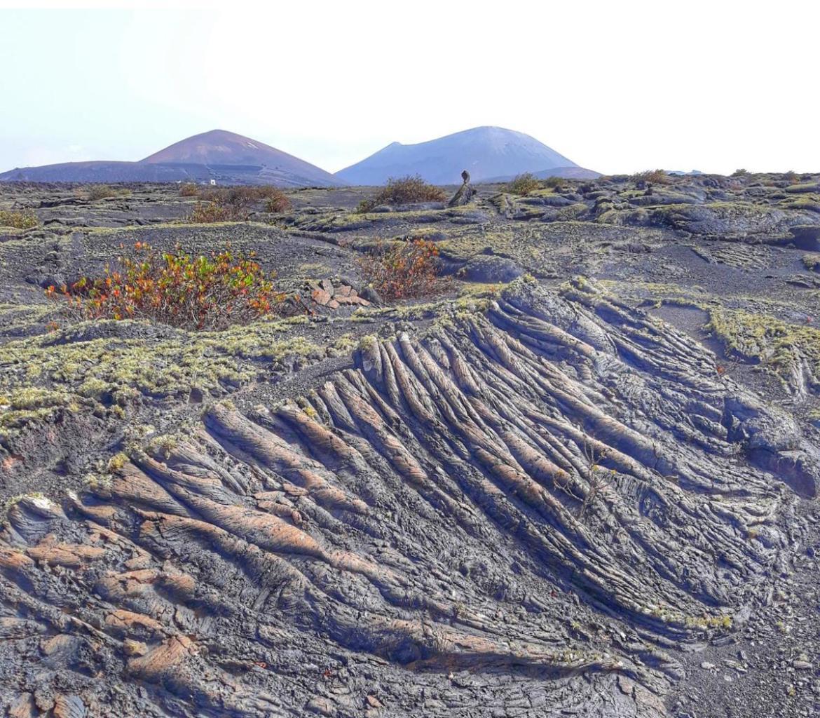 Lanzarote Casa Volcanica-Anclada Sobre La Lava Del Volcan Montana Blanca ภายนอก รูปภาพ