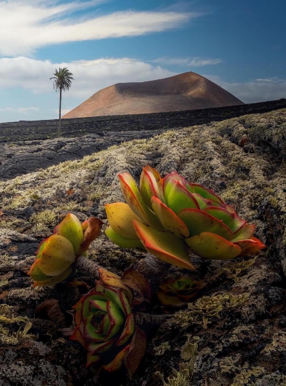 Lanzarote Casa Volcanica-Anclada Sobre La Lava Del Volcan Montana Blanca ภายนอก รูปภาพ